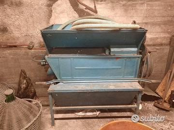 DIRASPATRICE  PIGIATRICE