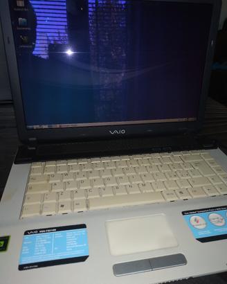Sony Vaio anni 2000