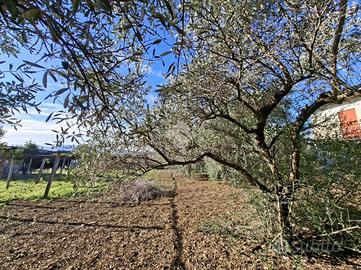 TER. RESIDENZIALE A ZAGAROLO