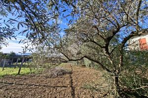 TER. RESIDENZIALE A ZAGAROLO