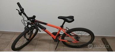Bicicletta 