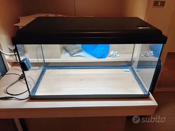 Acquario con filtraggo