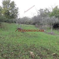 Terreno, Isnello.