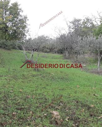 Terreno, Isnello.