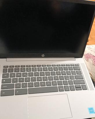 HP chromebook