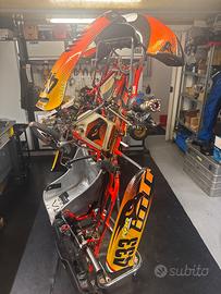 Kart telaio intrepid kz 2026