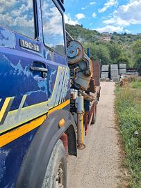 Camion carrellone