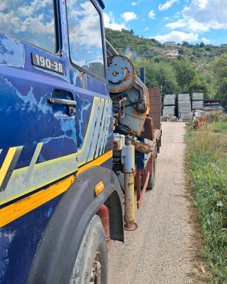 Camion carrellone