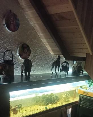 Acquario