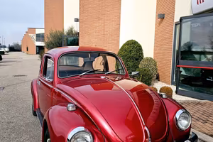 MAGGIOLINO EPOCA