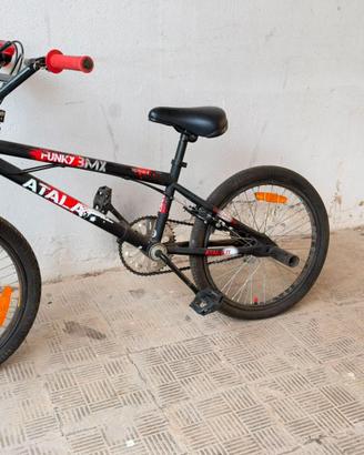 bicicletta