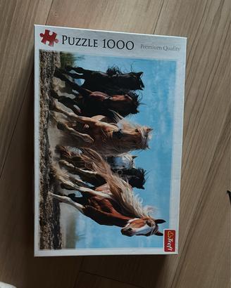 Puzzle 1000 pz