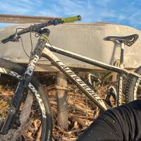 Cannondale Lefty full carbon