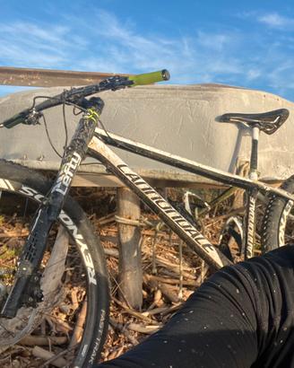 Cannondale Lefty full carbon