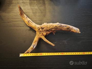 Radice/Legno naturale per acquari e terrari - 30cm