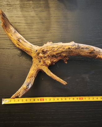 Radice/Legno naturale per acquari e terrari - 30cm