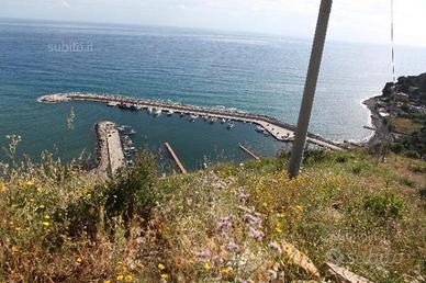 Vendita rustico+terreno