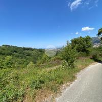 TER. AGRICOLO A GIUNGANO