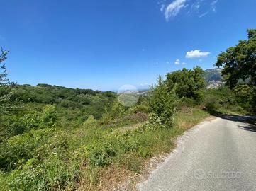 TER. AGRICOLO A GIUNGANO