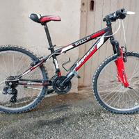 legnano skull 24 