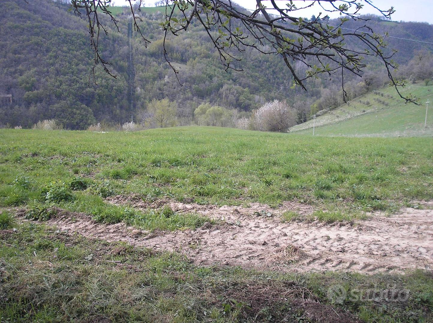 Rustico da ricostruire con terreno circostante - Vista 3