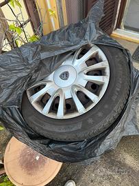 Gomme neve