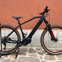 E bike aster 29