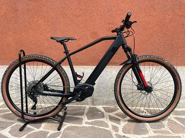 E bike aster 29