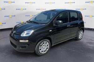 FIAT Pandina PANDA My26 1.0 65cv Hybrid Icon