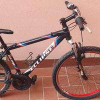bicicletta mountain bike