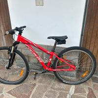 Bici bambino dagli 8 anni