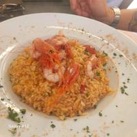 Cuoco - gastronomo
