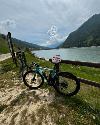 Bianchi specialissima tg 50