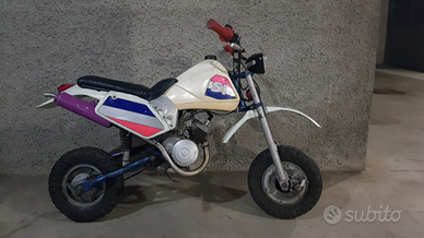 Minimoto Morini Acerbis