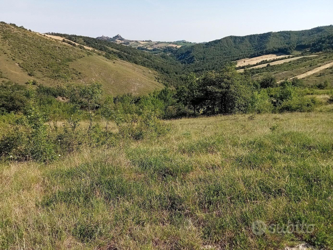 Rustico con terreno - Vista 5