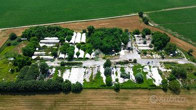 TERRENO A CASTELVETRO PIACENTINO