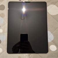 Ipad pro 13" 256gb