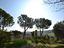 Immagine 7