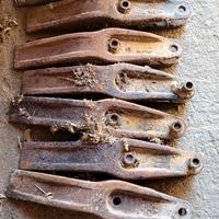 denti cucchiaio pala cingolata