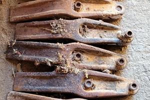 denti cucchiaio pala cingolata