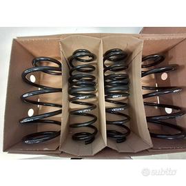 Molle Prokit per Alfa Romeo Junior