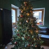 Albero di natale