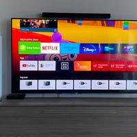 Tv sony bravia 75 pollici