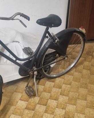 biciclette da uomo e donna