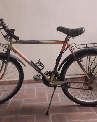 Mountain bike