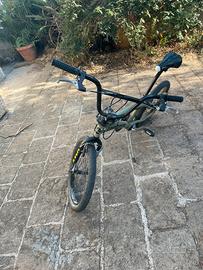 Bmx lombardo isernia