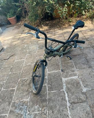 Bmx lombardo isernia