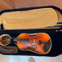 Violino fenice