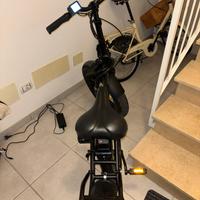 Bicicletta elettrica