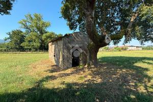 RUSTICO A ANAGNI
